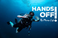 Hands Off the Marine Life!