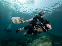 Специализированный курс Dive Against Debris Diver