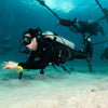 ピークパフォーマンス浮力スペシャリティ PADI コース