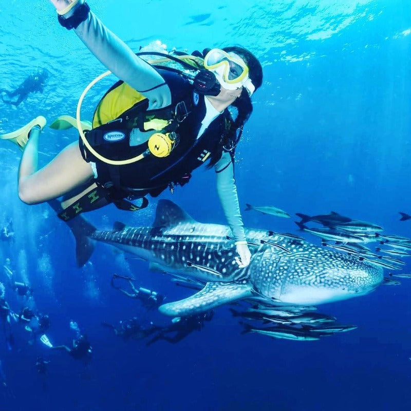 Koh Tao Diving 3d mon