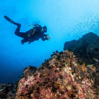 deep-dive-course-specialty-in-koh-tao