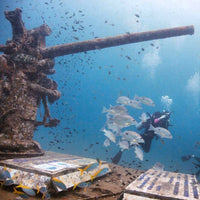 exploring-sattakut-htms-wreck-koh-tao-fishes