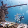 exploring-sattakut-htms-wreck-koh-tao-fishes