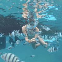 snorkeling-koh-tao