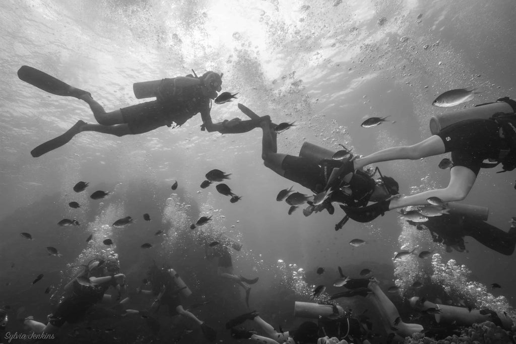 Fatti divertenti sull'immersione subacquea