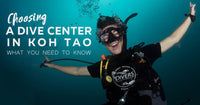 Choosing a dive center in Koh Tao. All you need to know!