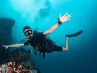 How Many Dives Can You Do in One Day on Koh Tao?
