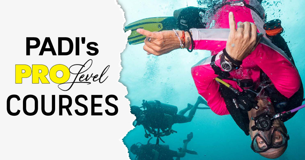 What professional level courses does PADI offer?