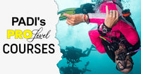 What professional level courses does PADI offer?