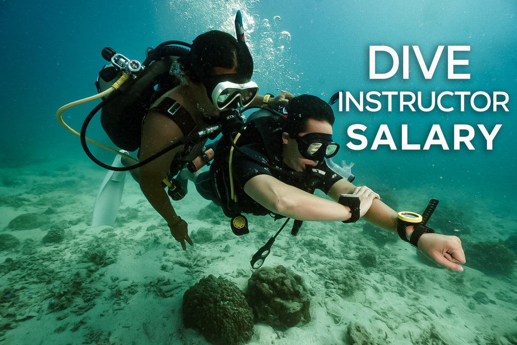 How much does a Dive instructor get paid?