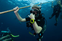 Koh Tao Diving