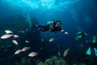 Scuba Diving Safety Rules