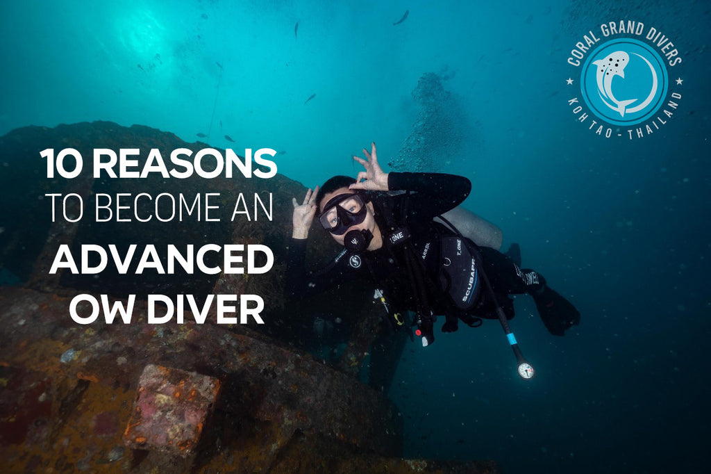 10 razões para se tornar um mergulhador avançado em águas abertas