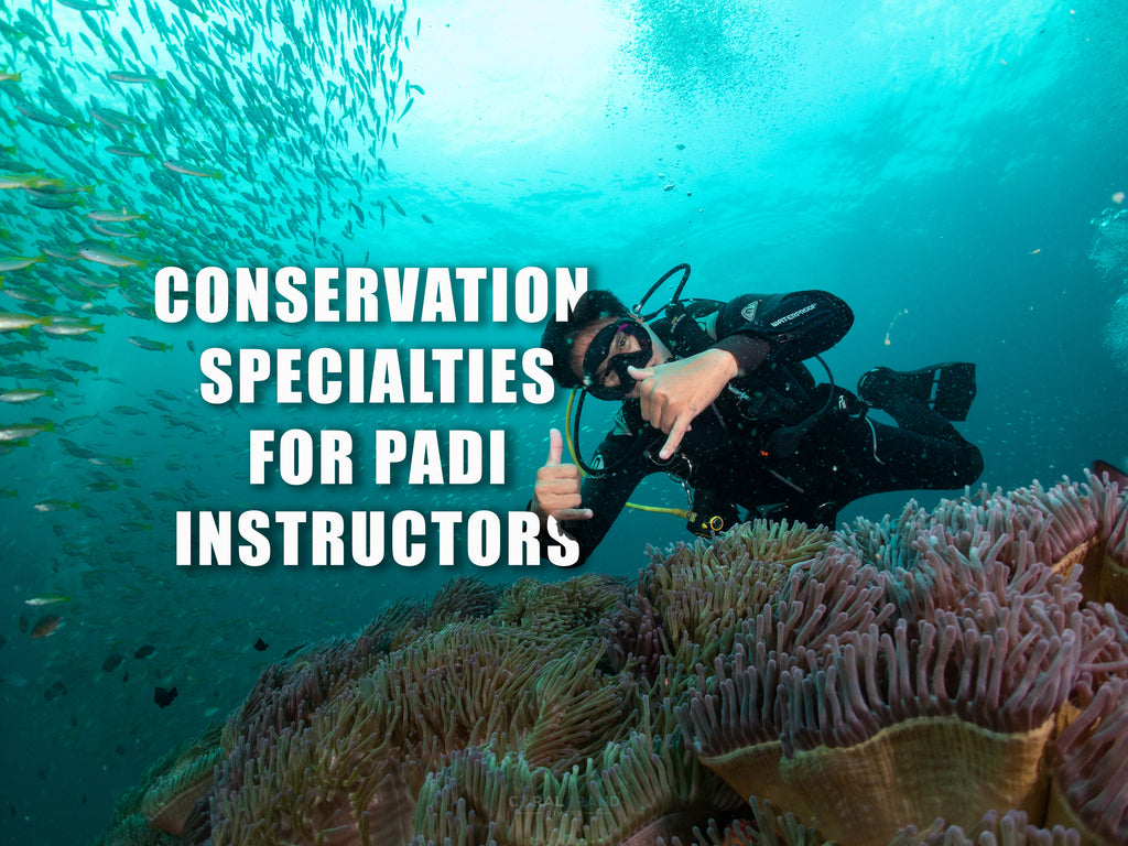 PADI Courses, Conservation, Membership, and Shop