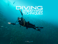 Diving Breathing Techniques