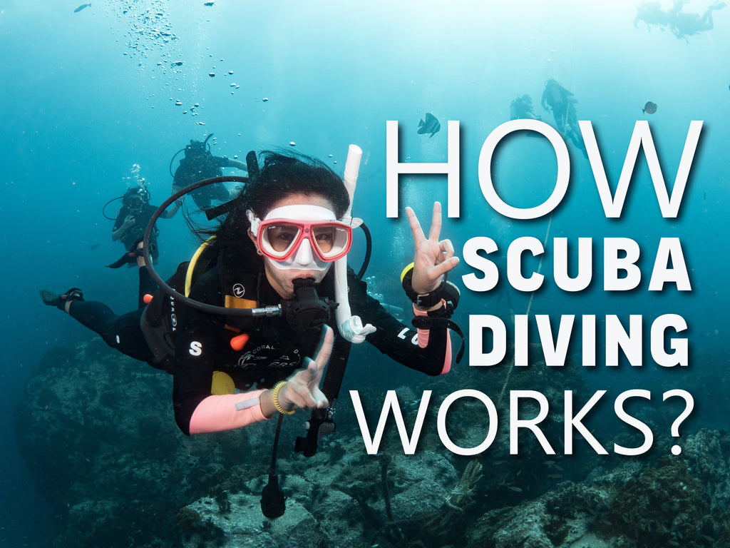 Comment fonctionne la plongée sous-marine ?