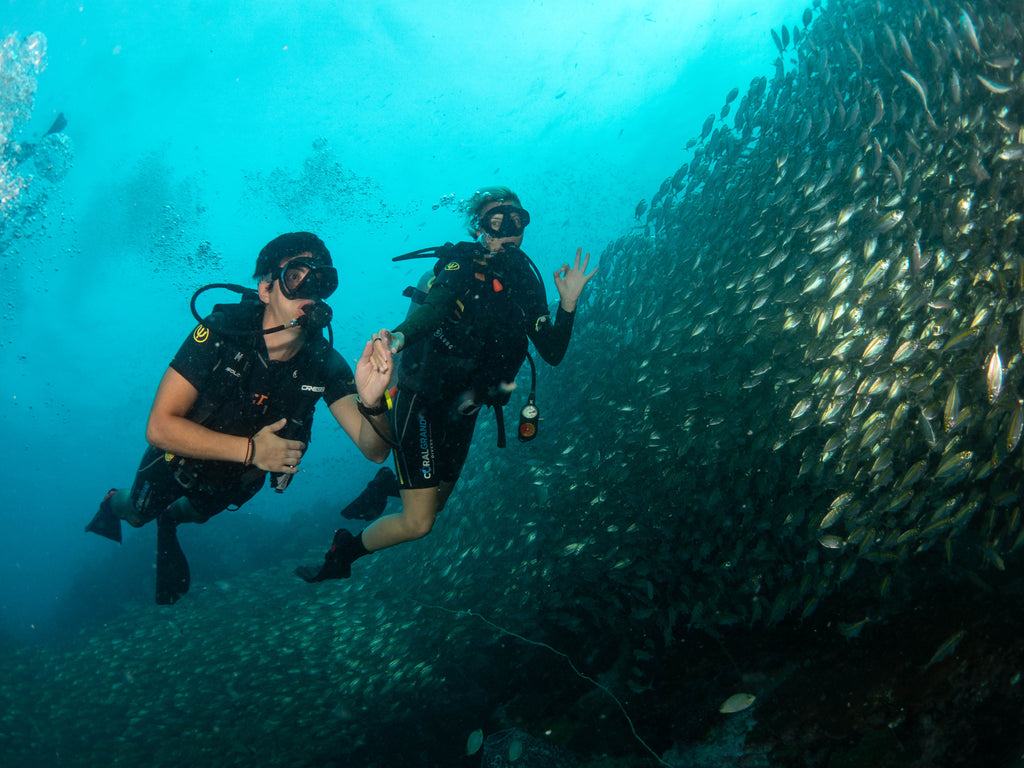 Por qué el viaje de buceo va más allá de unas vacaciones