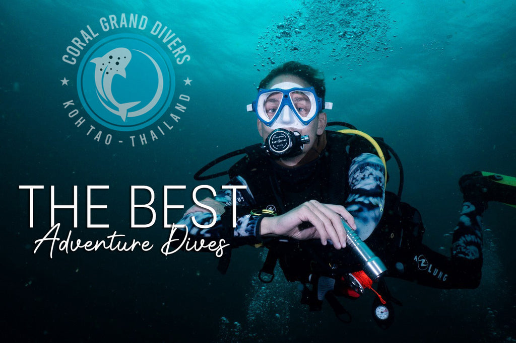 Melhores mergulhos de aventura para o PADI Advanced Open Water Course