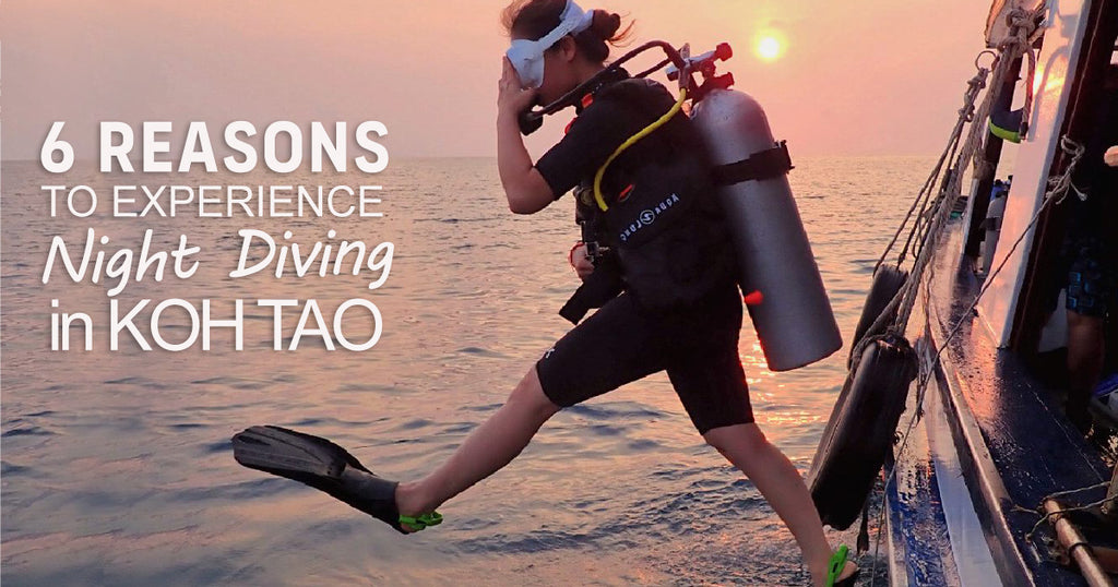 6 أسباب لتجربة الغوص الليلي في كوه تاو