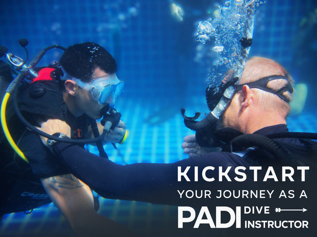 PADI ダイブインストラクターとして成功するためのヒント