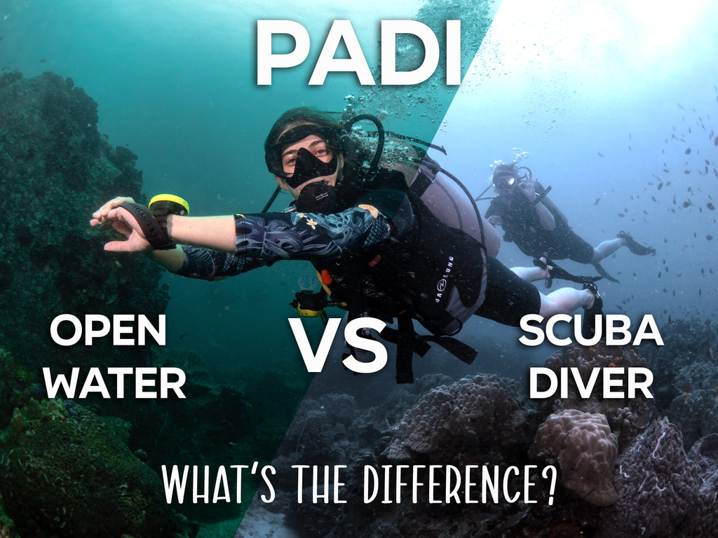 PADI 스쿠버 다이버와 PADI 오픈워터, 차이점은 무엇인가요?