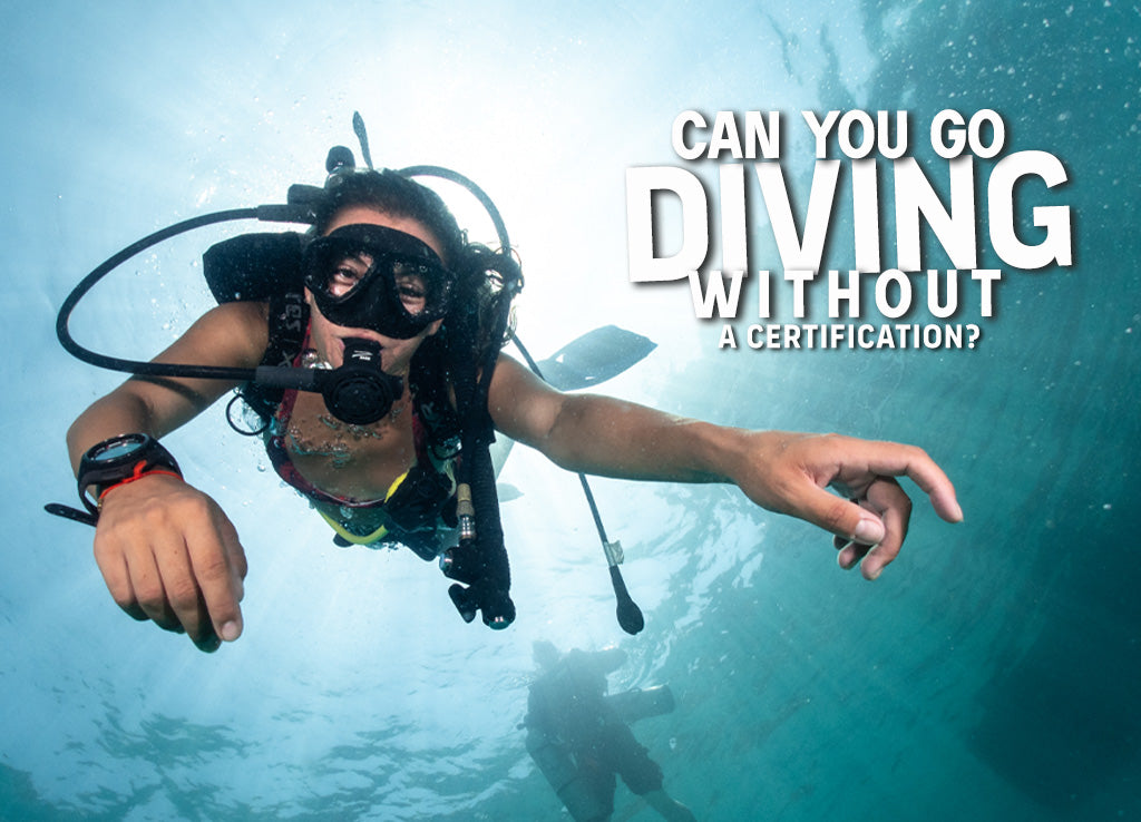 Can You Go Scuba Diving Without a Certification?