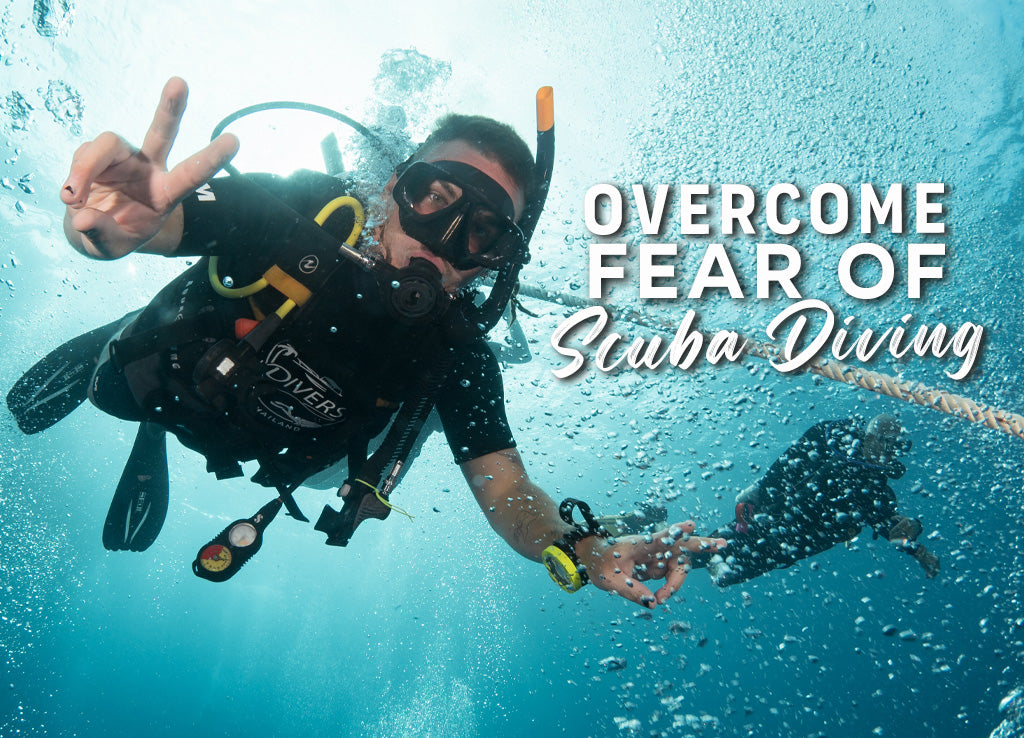 Como superar o medo do mergulho?