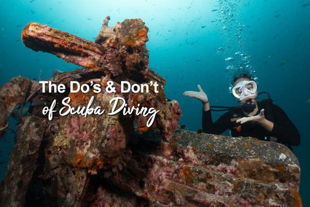 O que fazer e o que não fazer no mergulho autônomo