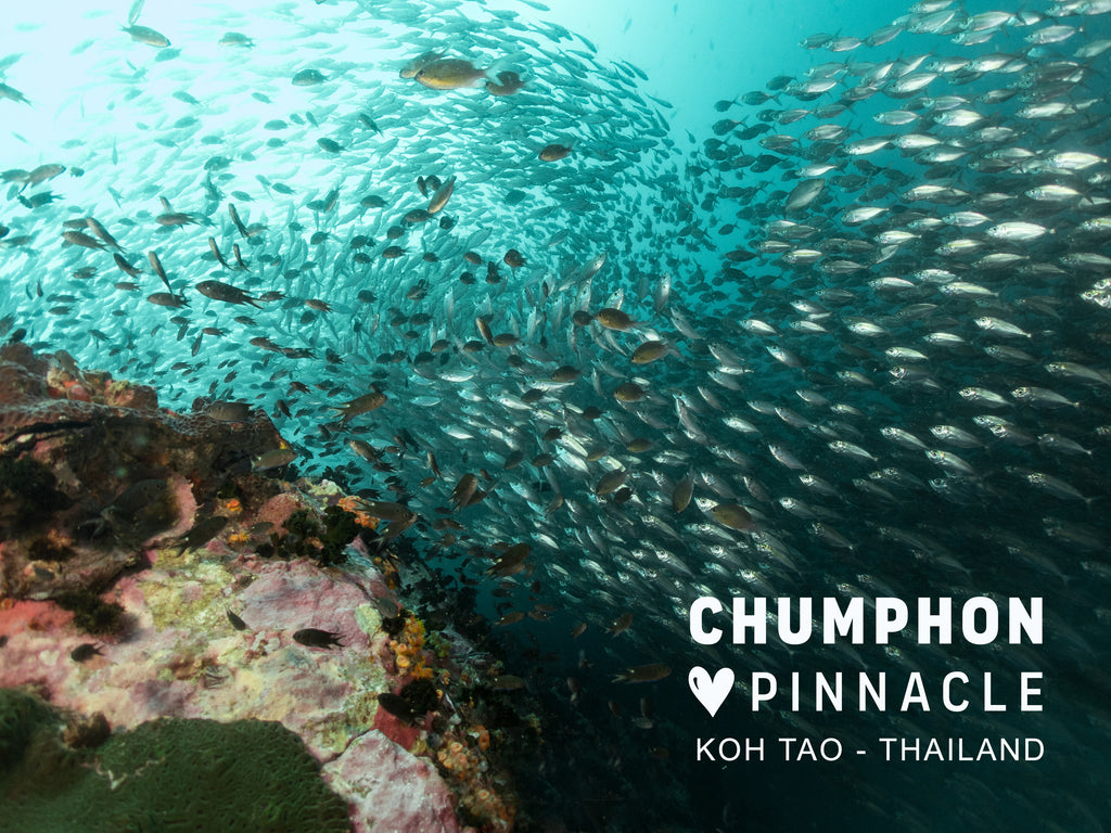 Chumphon Pinnacle: Địa điểm lặn danh sách nhóm Koh Tao