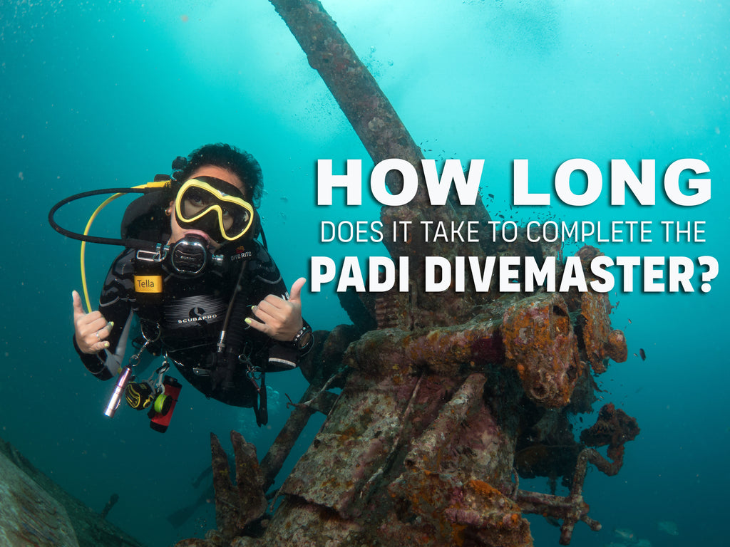 PADI डाइवमास्टर पाठ्यक्रम पूरा करने में कितना समय लगता है?