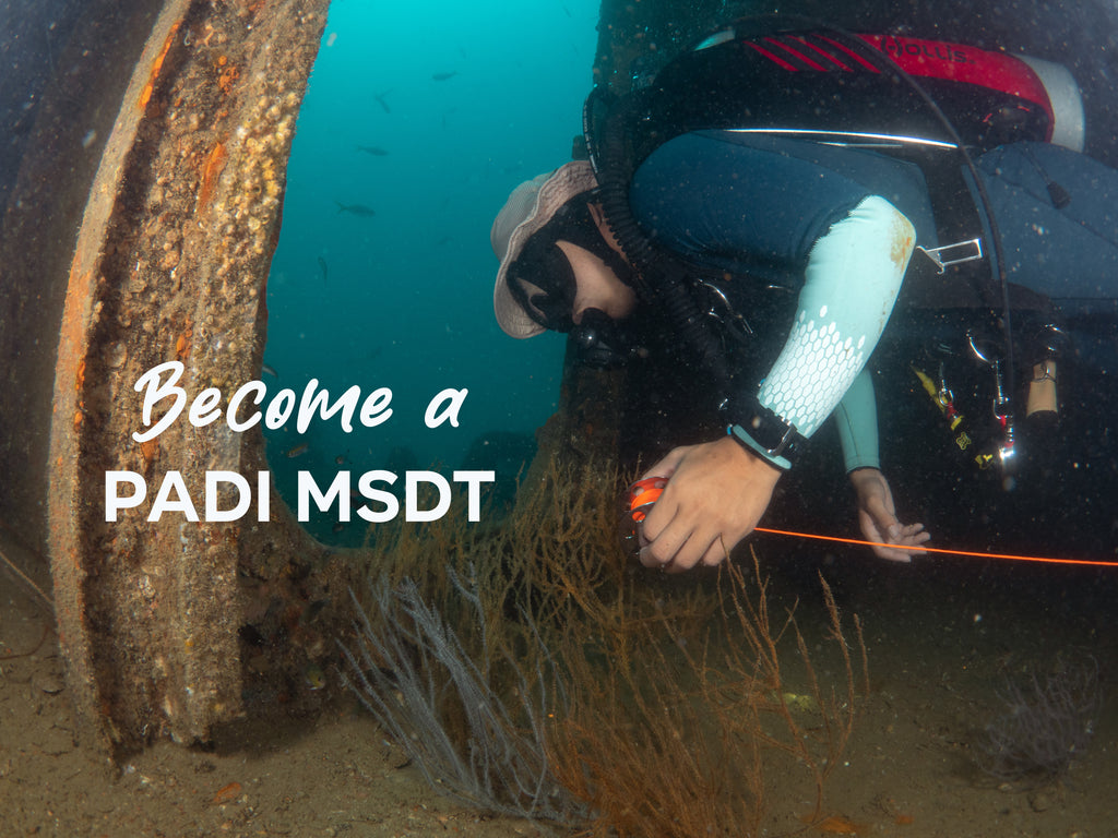 Why Becoming a PADI MSDT is a Game-Changer