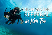 Open Water Referral student in Koh Tao, Thailand.