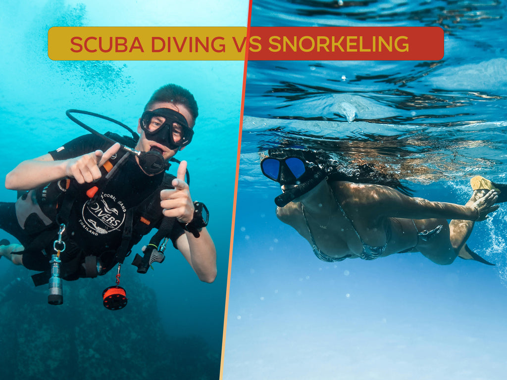 Qual é a diferença entre snorkeling e mergulho autônomo?