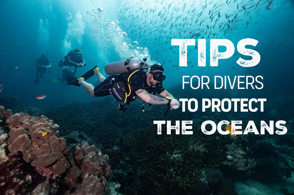 Tips & Tricks for divers to protect the oceans