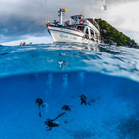 PADI Open Water Diver : Le premier niveau de plongée autonome