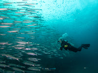 Divertiti divertenti in koh lipe