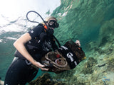 Специализированный курс Dive Against Debris Diver