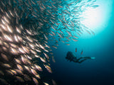 Divertiti divertenti in koh lipe