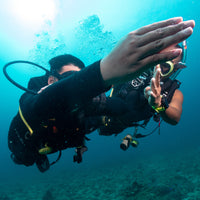PADI Open Water Diver : Le premier niveau de plongée autonome