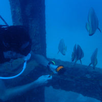 reel-and-line-practice-before-entering-wreck-in-koh-tao
