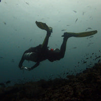 sidemount-diver-specialty-course-padi-in-koh-tao