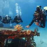    coral-reef-conservation