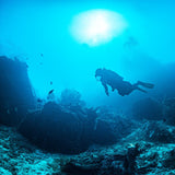 diver-coral-grand-divers