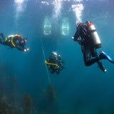 divers-under-the-boat
