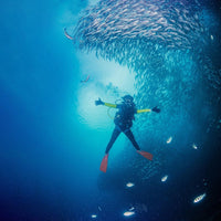 happy-diver-in-koh-tao-in-million-of-fish-thailand