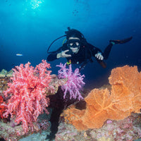 naturalist-divers-in-koh-tao-reef-and-corals