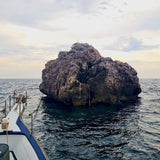 sail-rock-best-dive-site-in-koh-tao-thailand