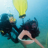 search-and-recovery-divers-specialty-padi-program