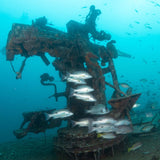 wreck-diver-htms-sattakut-dive-and-fish